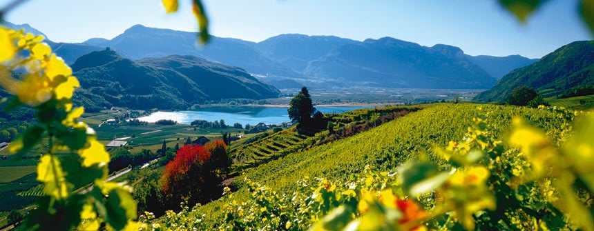 Interessanti offerte per Bolzano e dintorni